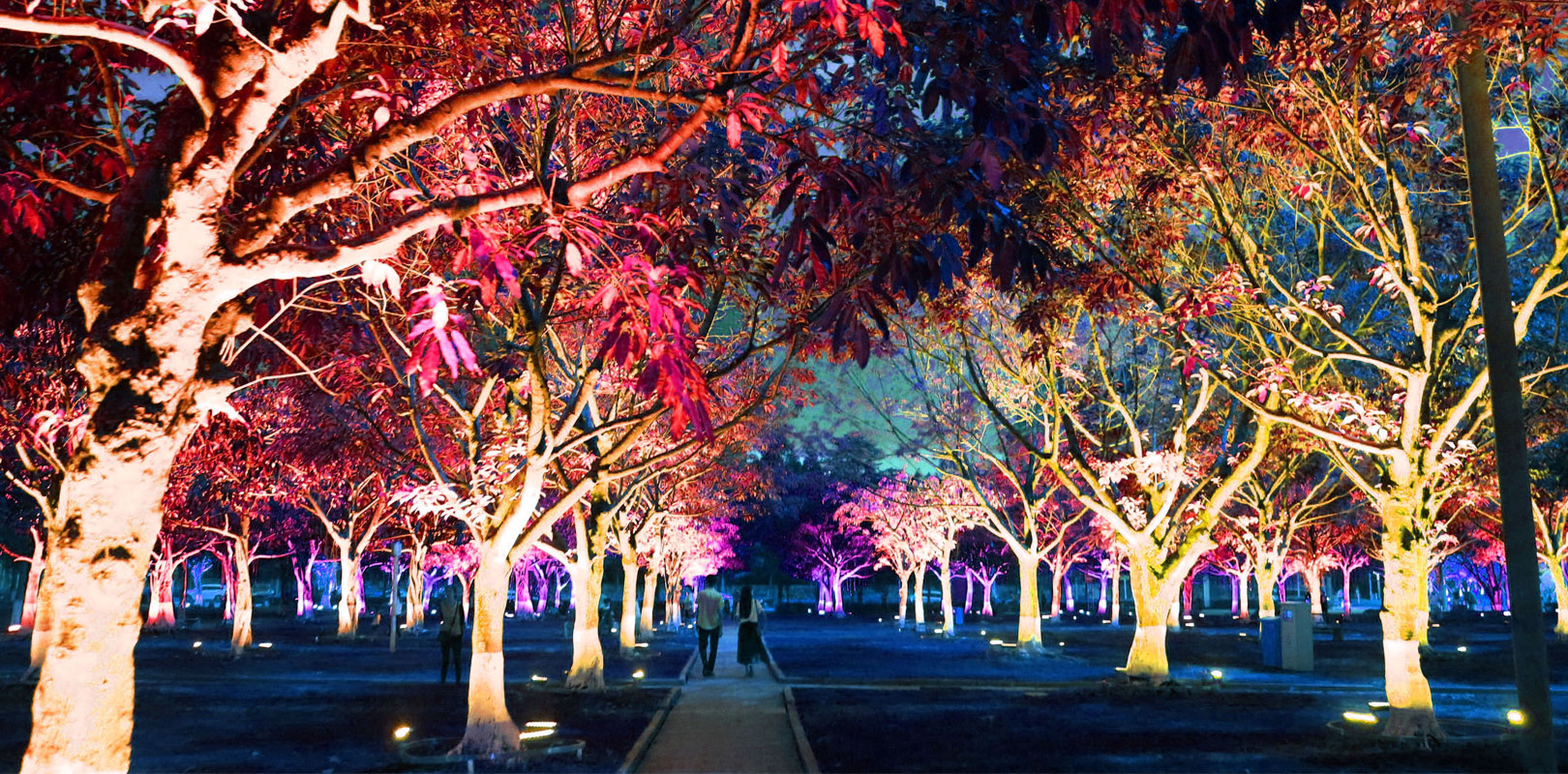 ���g22 - �ٷ���վ -- ÿ���о�ϲ