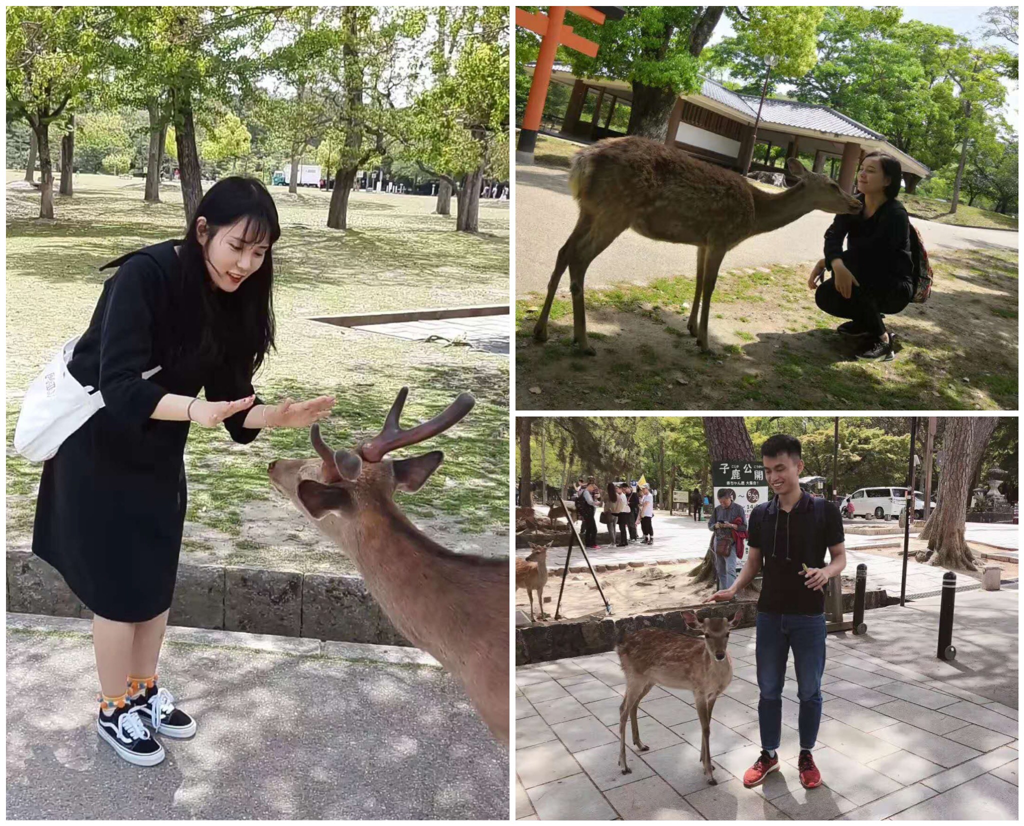 ���g22 - �ٷ���վ -- ÿ���о�ϲ