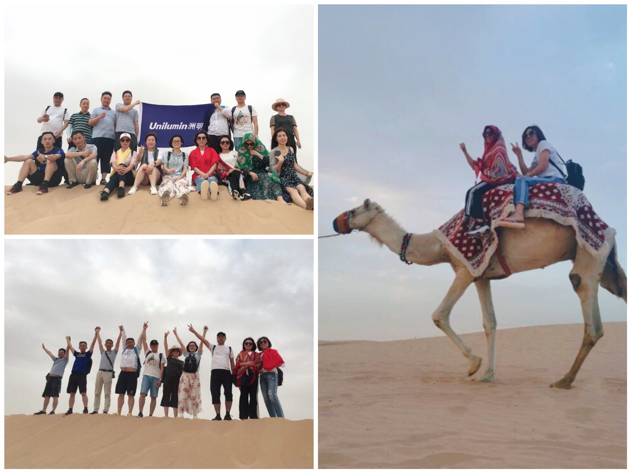 ���g22 - �ٷ���վ -- ÿ���о�ϲ