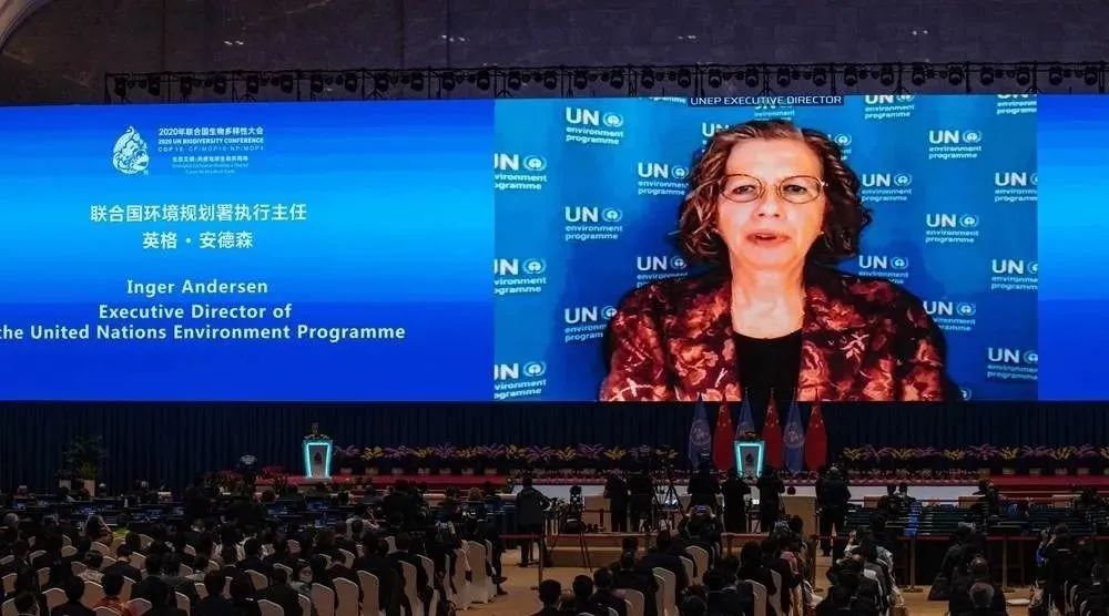 ���g22 - �ٷ���վ -- ÿ���о�ϲ