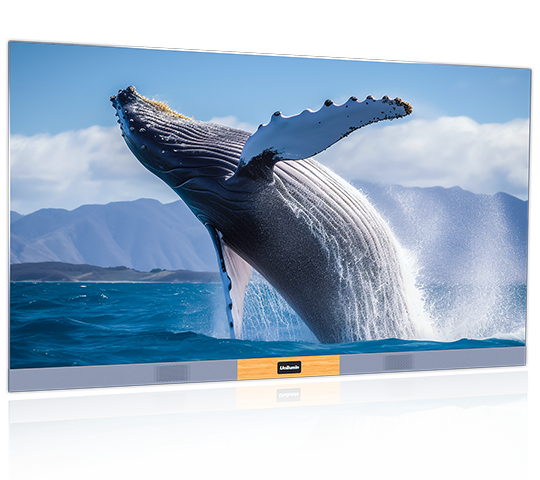 ���g22 - �ٷ���վ -- ÿ���о�ϲ