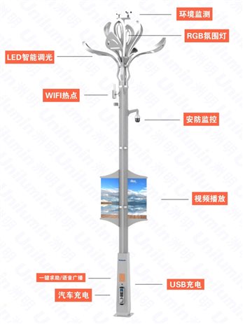 ���� (2).jpg