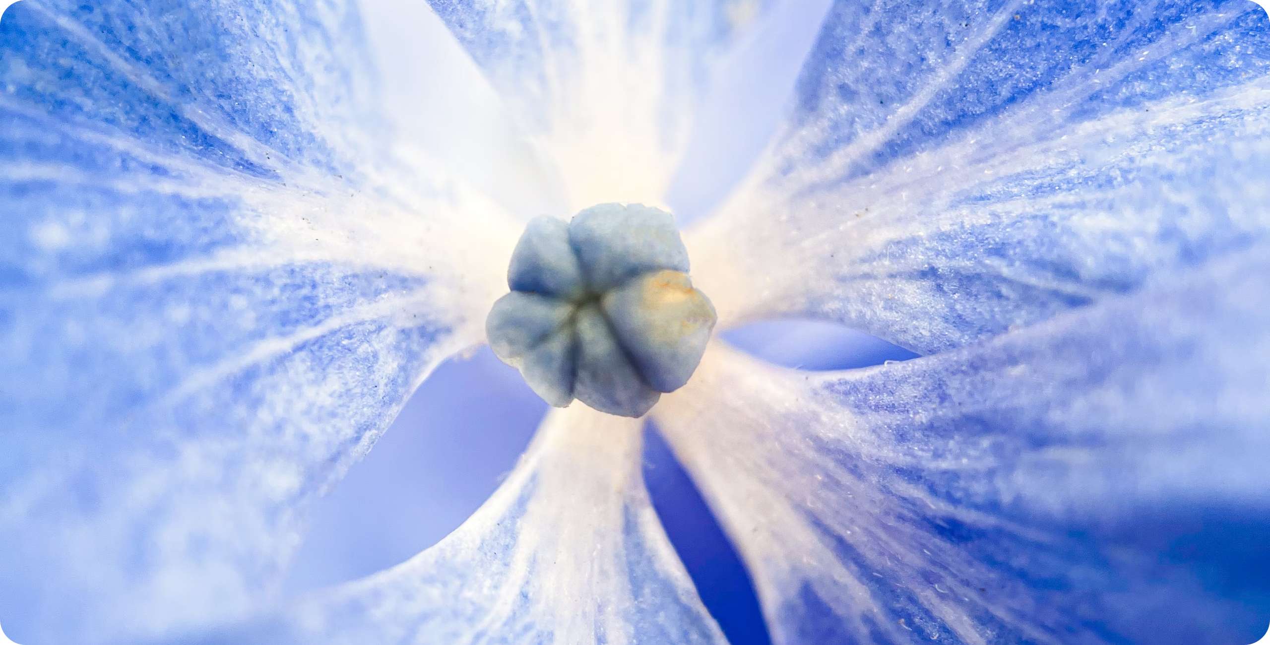 ���g22 - �ٷ���վ -- ÿ���о�ϲ